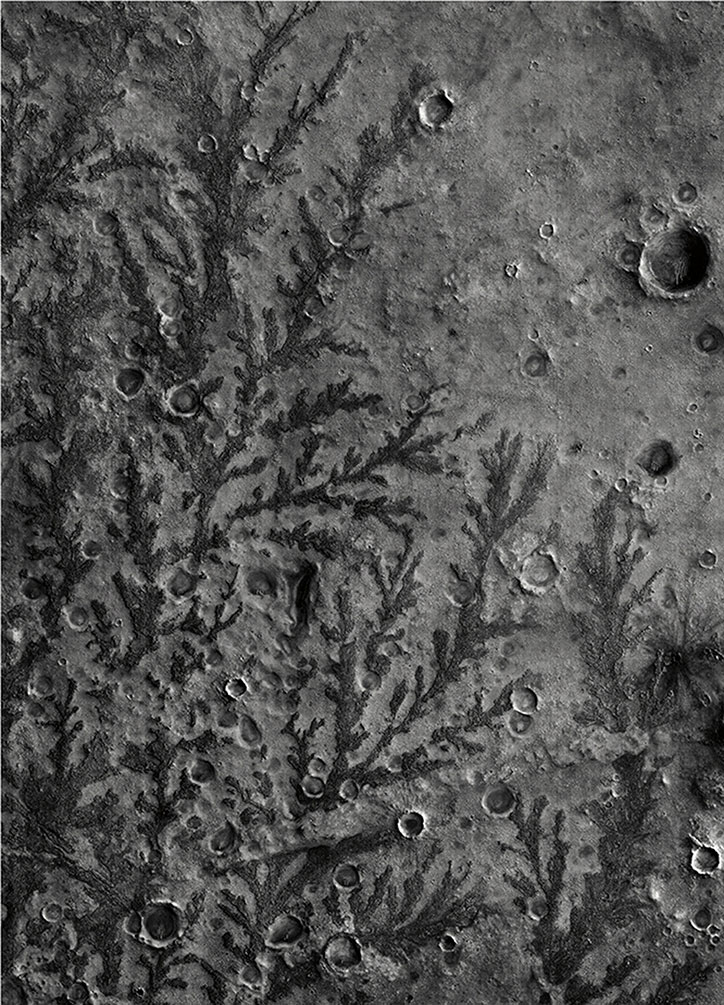 This-is-Mars-02INT.jpg