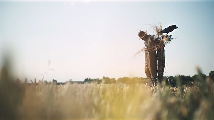 robot-and-scarecrow_kibwe-tavares_itsnicethat6.jpg