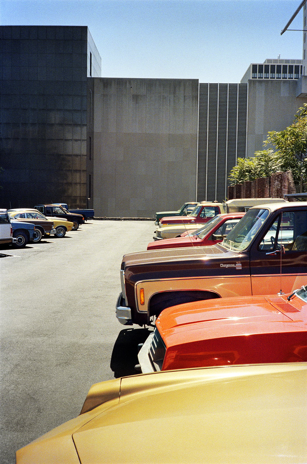 William_Eggleston_INT_4.jpg