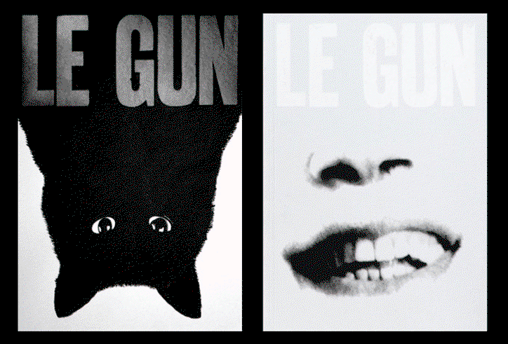 Le_Gun_4.gif
