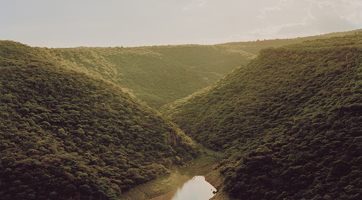 Kevin-Serna-La-Presa-itsnicethat-23.png