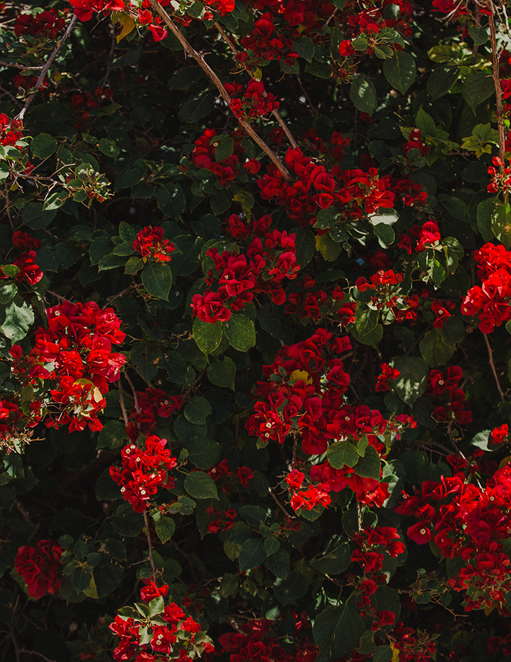 Kevin-Serna-La-Presa-itsnicethat-11.png