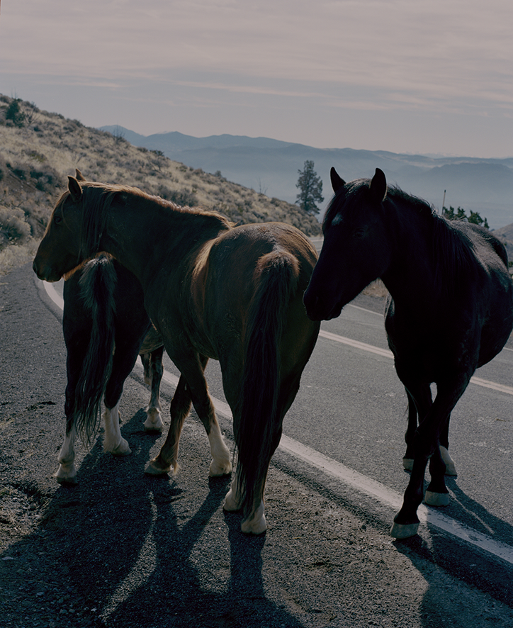 Damien-Maloney-photography-itsnicethat-9.png