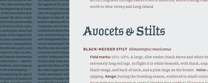 Hoefler_and_Co_Inkwell_typeface_graphic_design_itsnicethat13.png