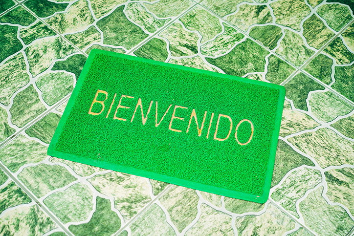 Marco_Arguello_chroma_photography_itsnicethat_11.jpg