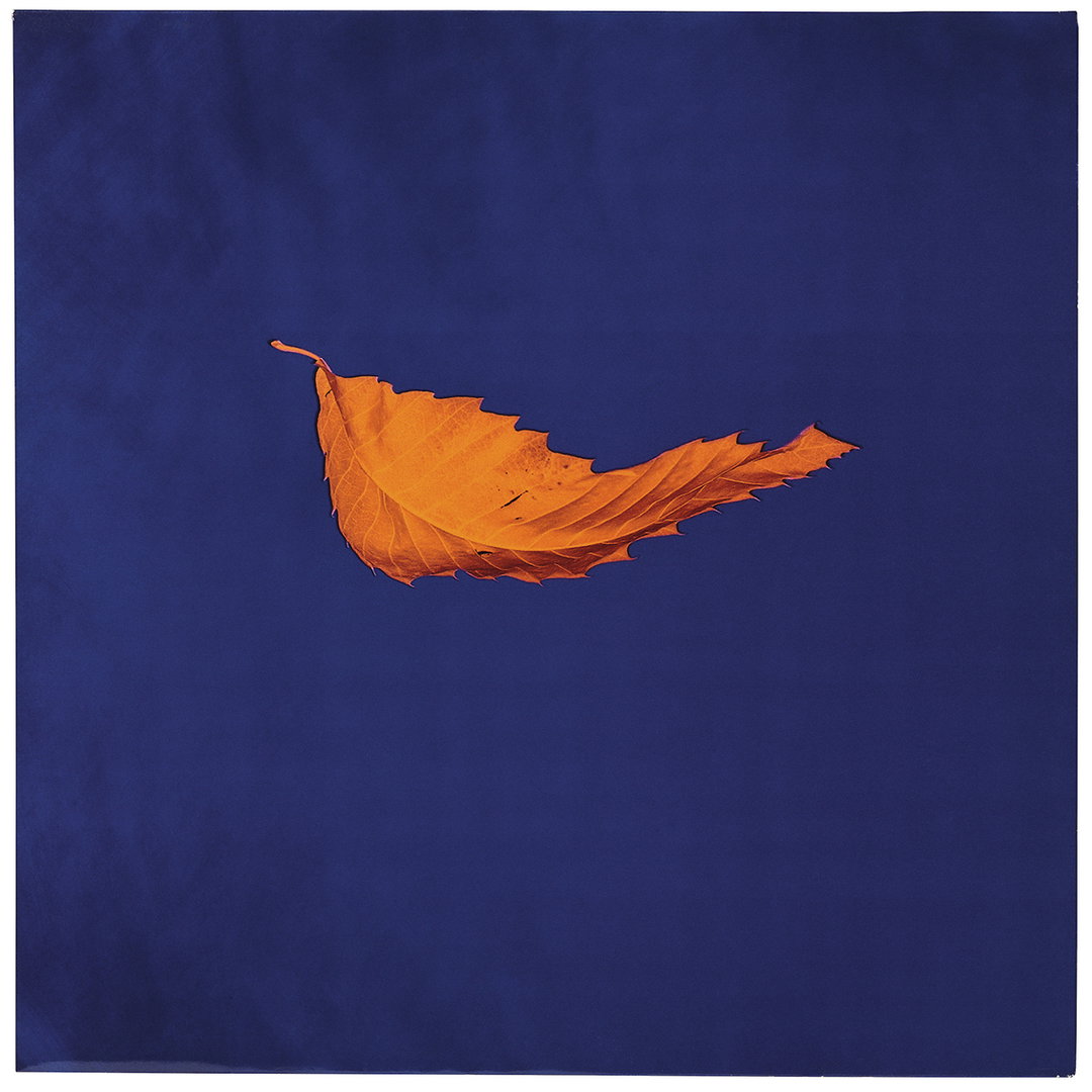 PeterSaville-TrueFaith-Exhibition-itsnicethat.jpg