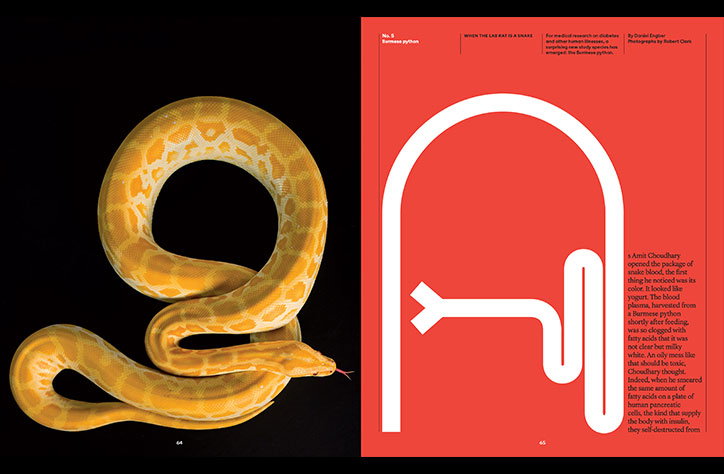 Design director, Gail Bichler, on The New York Times Magazine typography exhibition