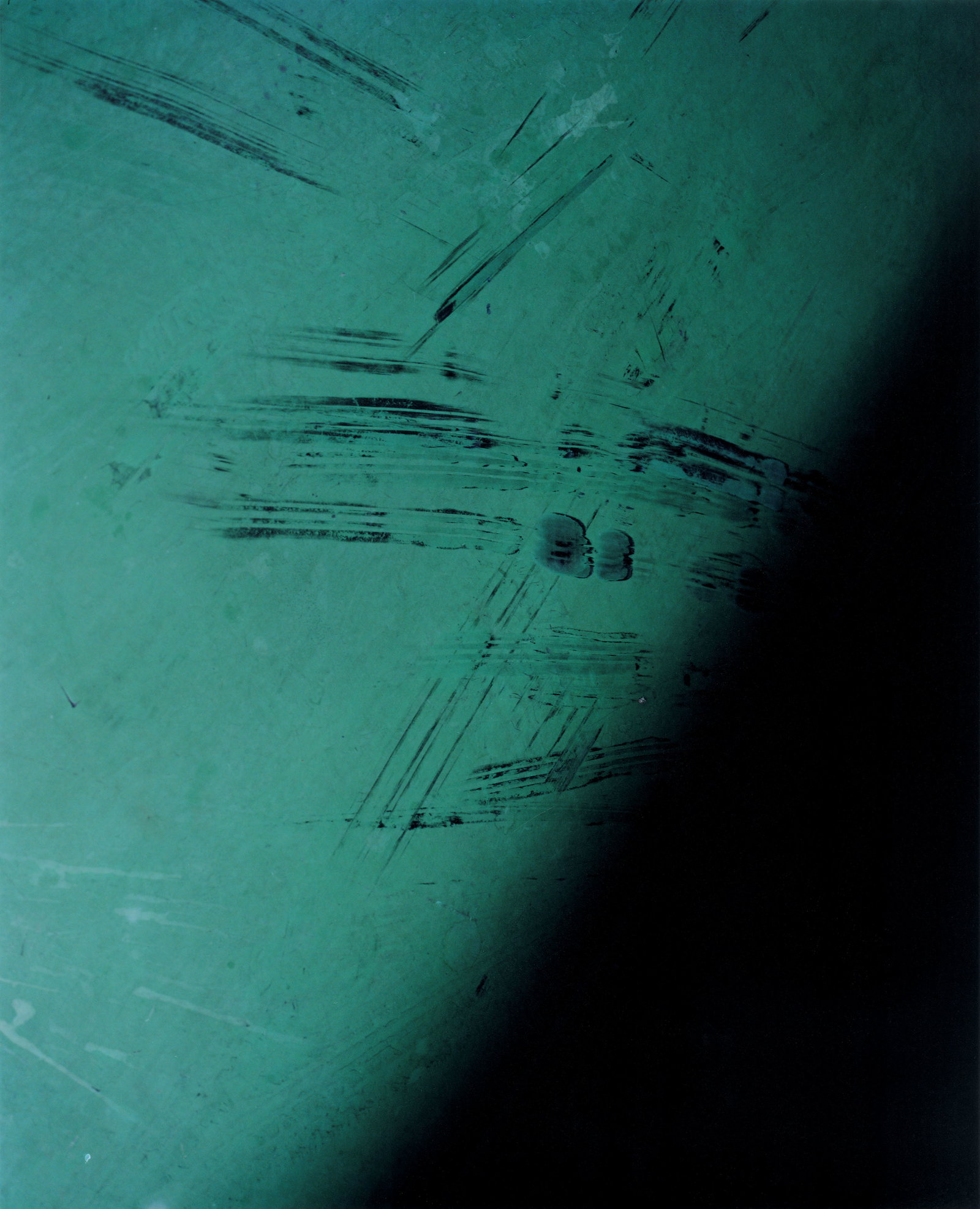 Between the pages of Harley Weir's first monograph, Paintings