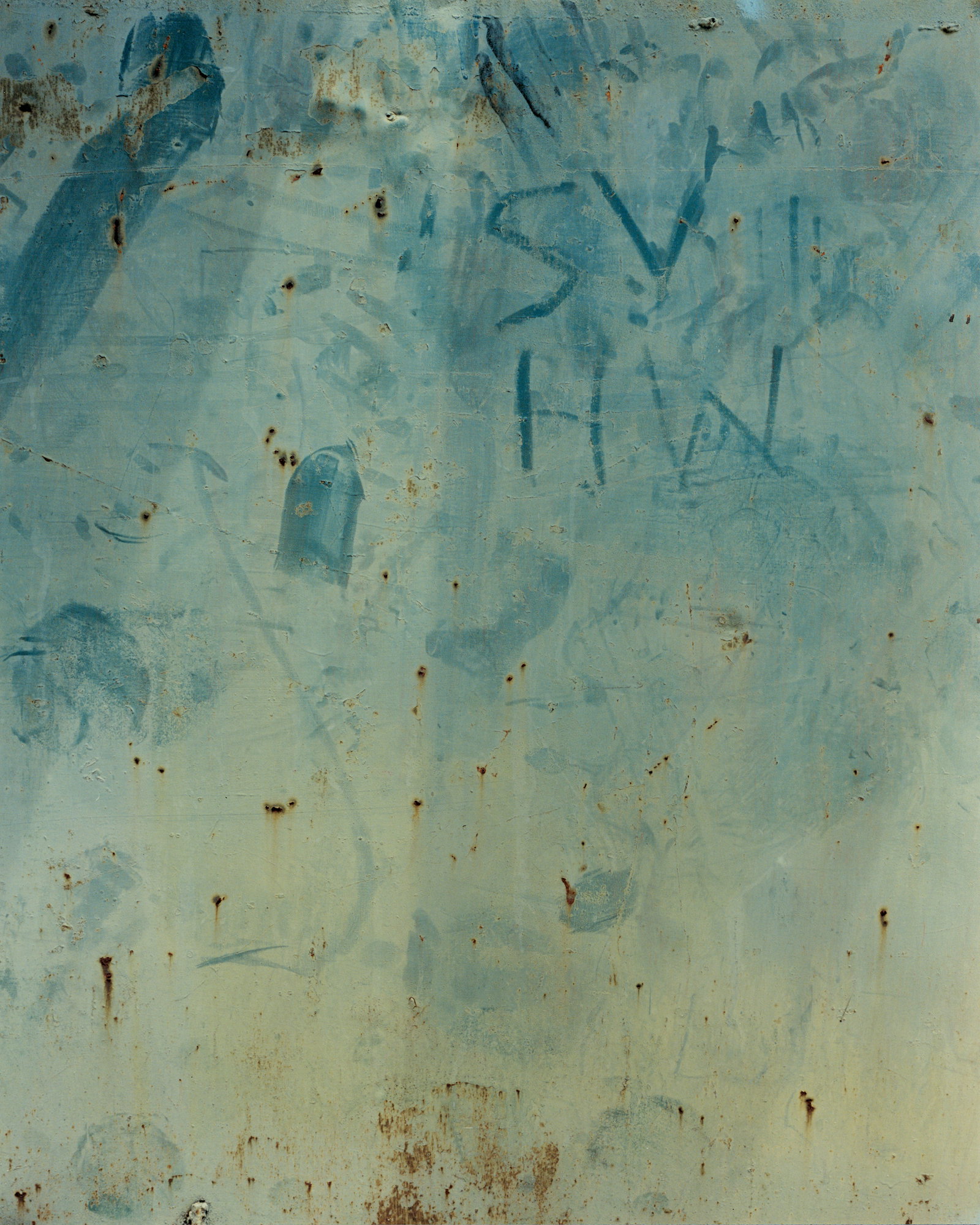 Between the pages of Harley Weir's first monograph, Paintings