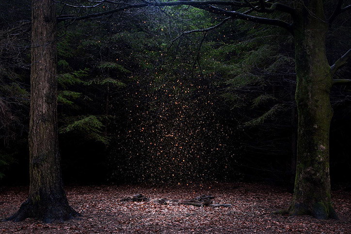 Ellie_Davies_Magnum_Lensculture_Its_Nice_That.jpg