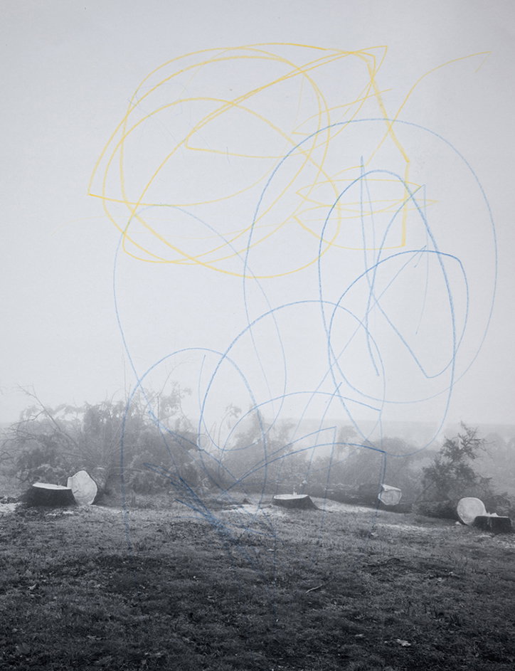 DerGreif-Sami_Parkkinen-FatherandSon-Growth_Ring-Publication-itsnicethat-01.jpg