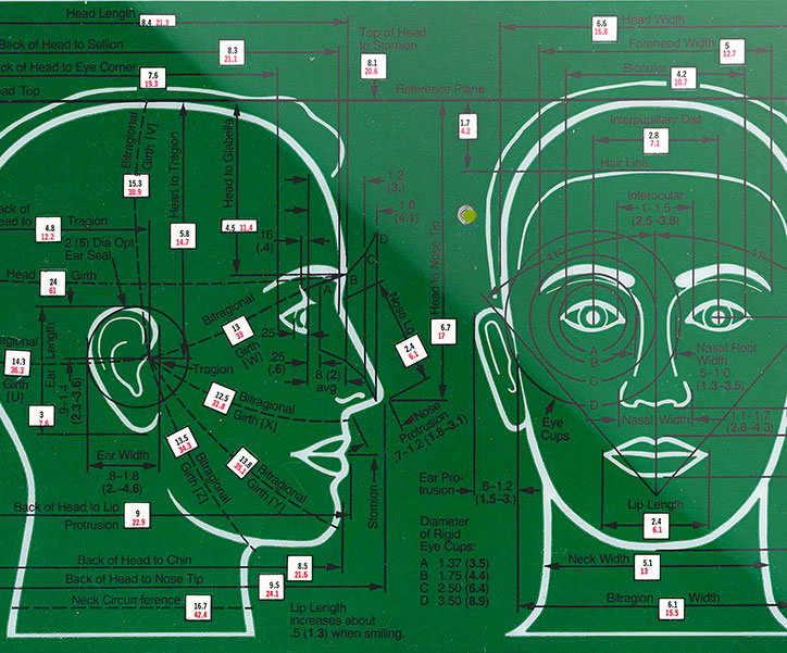 A technical diagram on a green background shows a person’s head from the side and front. White lines and red labels mark various anatomical measurements, such as “Head Length” and “Nasal Root Width”.