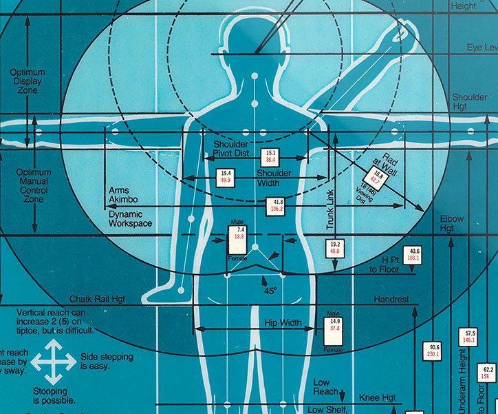 A technical diagram of a human figure in a blue and white colour palette, used to map ergonomic measurements. Various lines and labels mark zones such as the “Optimum Display Zone” and “Dynamic Workspace”.