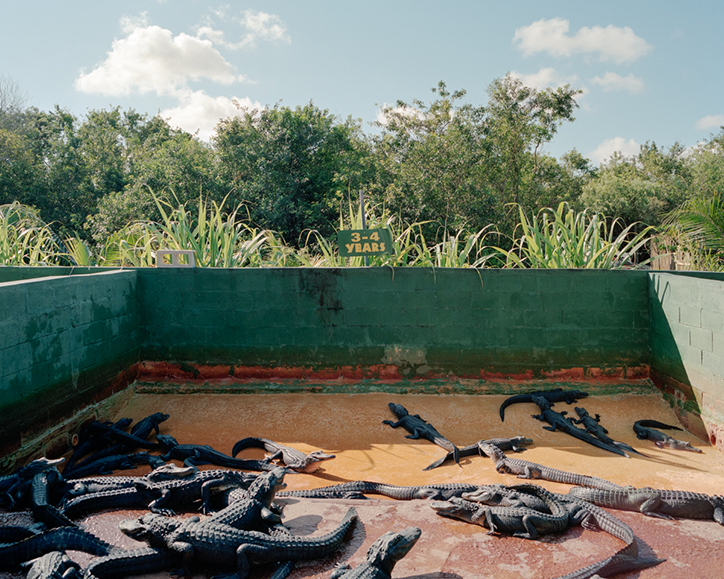 Scott-Sheffield-Frontiers-photography-itsnicethat-4.png