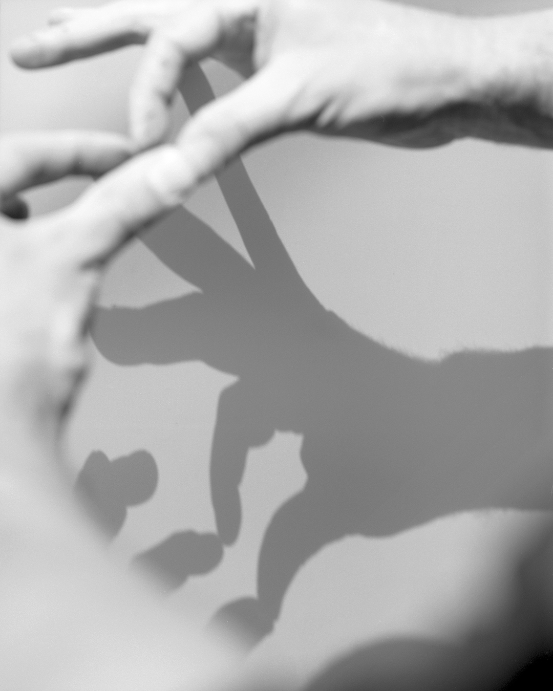 05R.png