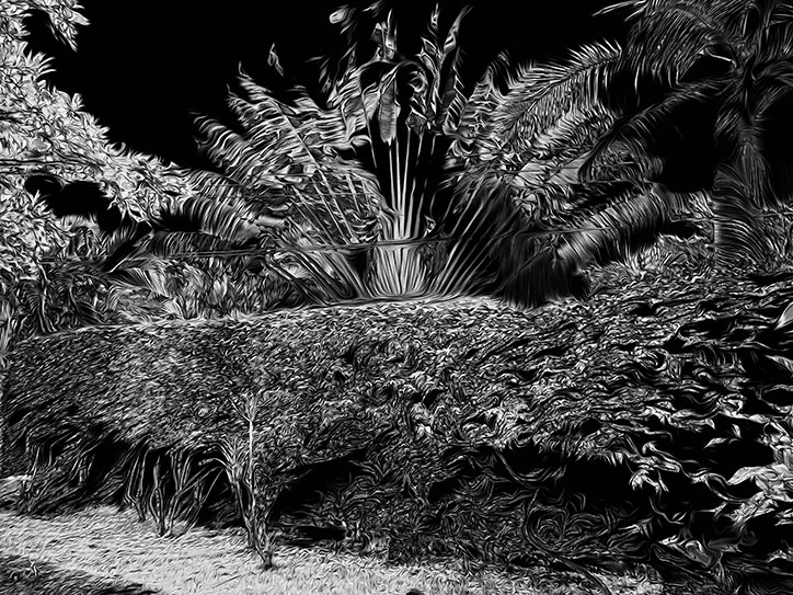 jvs-photography-itsnicethat-7.jpg