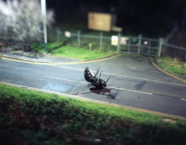 michael-john-hunter-giant-sculpture-photography-itsnicethat-9.jpg