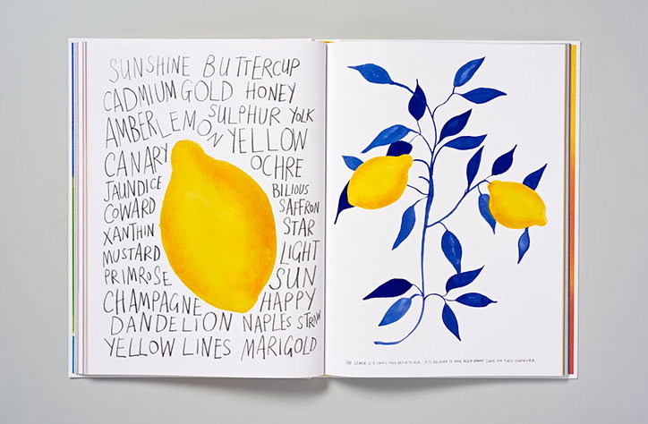 marion-deuchars-colour-book-illustration-publication-itsnicethat-10.jpg