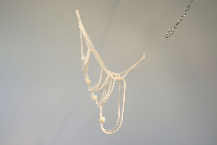 Emma-Thomas-itsnicethat.jpg