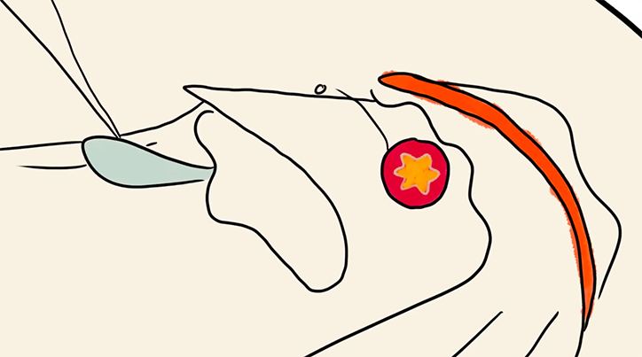 JonathanRosen-Cosen-Animation-itsnicethat-06.png