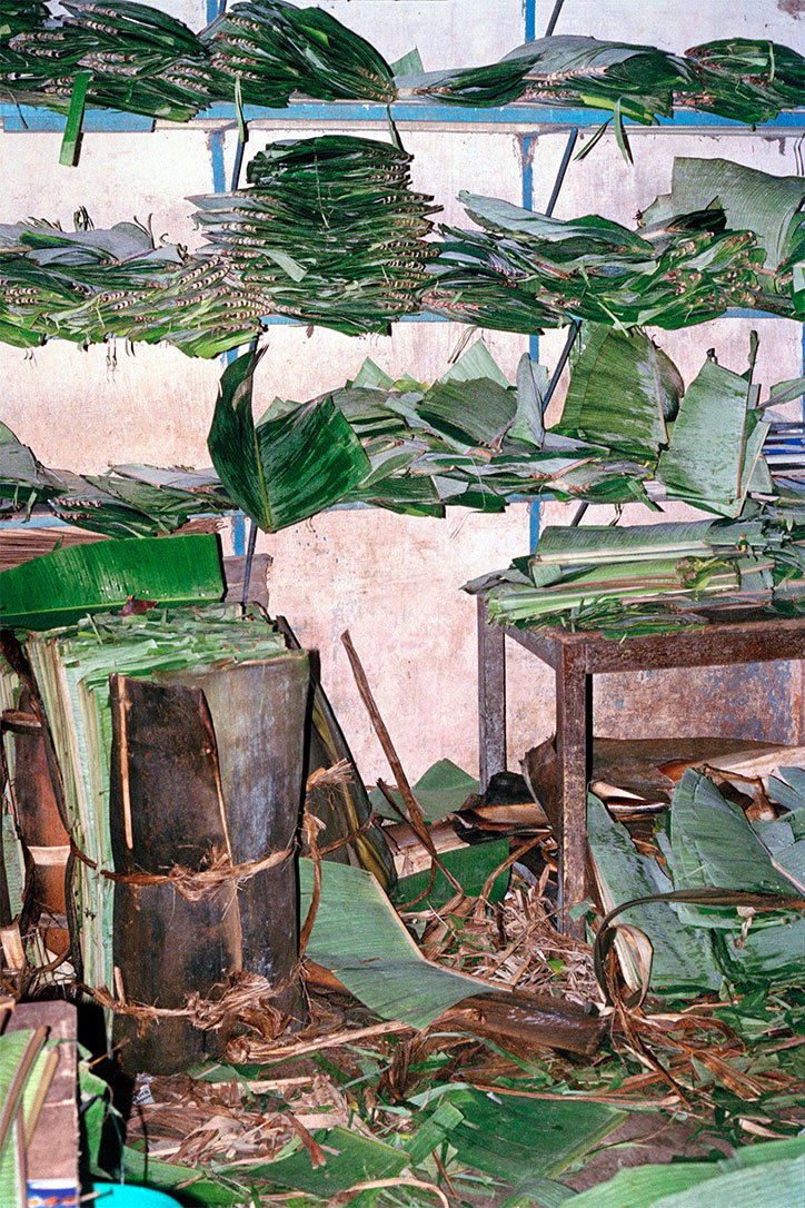 albert-elm-what-sort-of-life-is-this-photography-itsnicethat-6.jpg