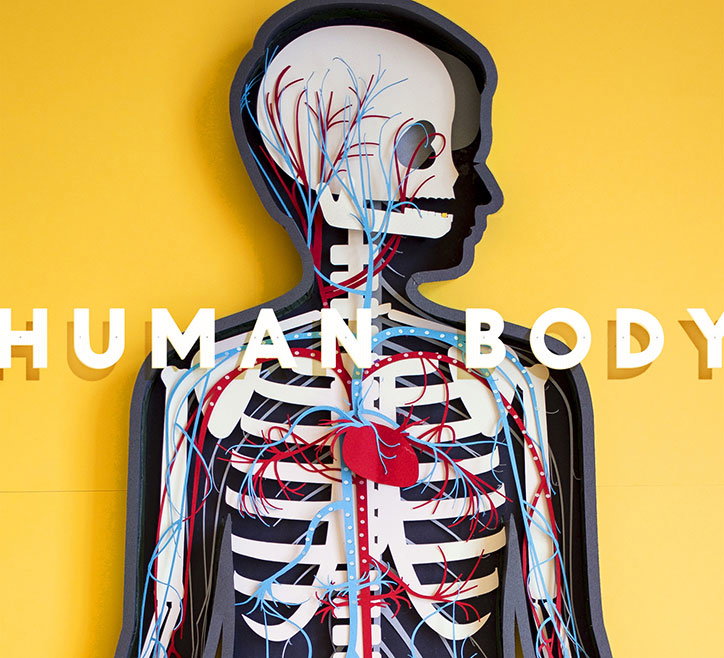 Can-Graphic-Design-Save-Your-Life-Wellcome-Trust-itsnicethat-The-Human-Body-app-2013_-artwork-by-Kelli-Anderson-for-Tinybop.jpg