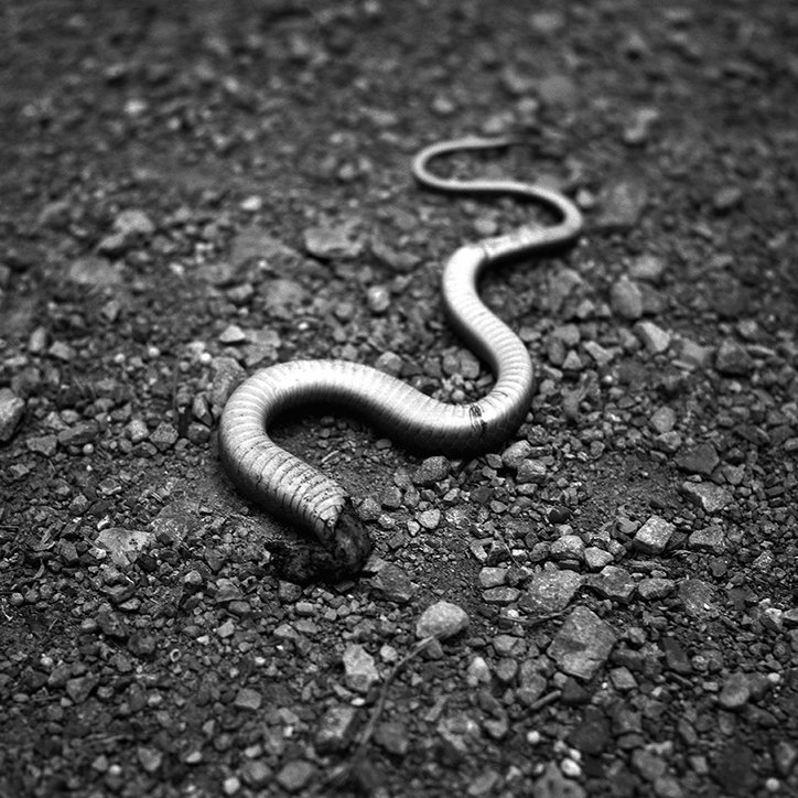 BRANDONTHIBODEAUX-photography-itsnicethat9.jpg
