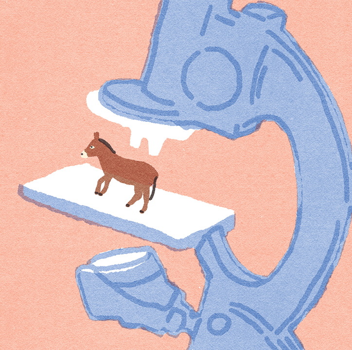 Lorenzo-Gritti-illustration-itsnicethat-2.png