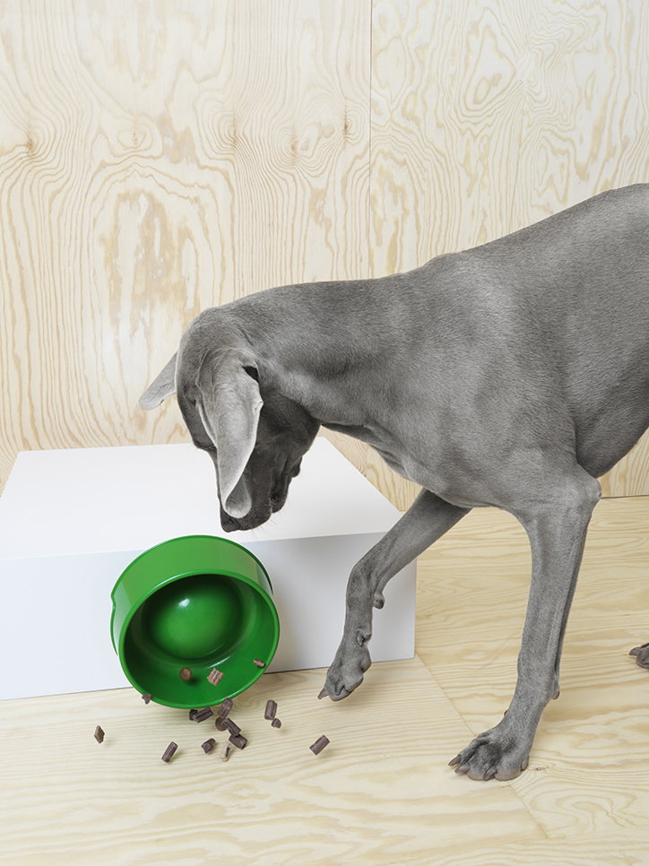 Ikea_dogs_cats_pets_product_design_its_nice_that_5.jpg