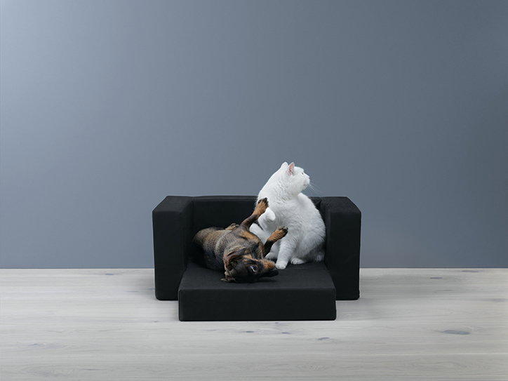 Ikea_dogs_cats_pets_product_design_its_nice_that.jpg