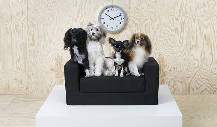 Ikea_dogs_cats_pets_product_design_its_nice_that_li2.jpg