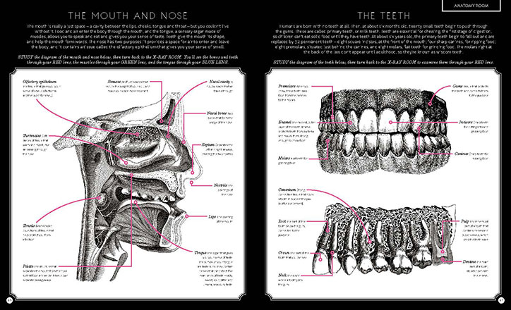 Carnovsky-Illumanatomy-book-Wide-Eyed-editions-publication-itsnicethat-6.jpg