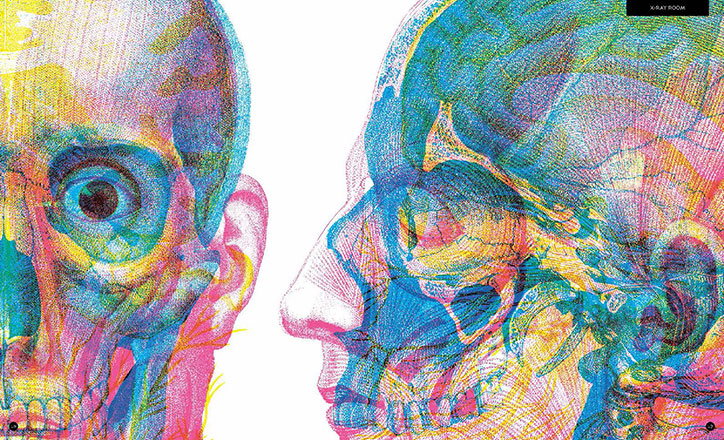 Carnovsky-Illumanatomy-book-Wide-Eyed-editions-publication-itsnicethat-4.jpg