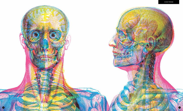 Carnovsky-Illumanatomy-book-Wide-Eyed-editions-publication-itsnicethat-3.jpg