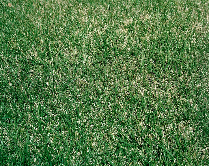 james-bannister-photography-itsnicethat-11.jpg