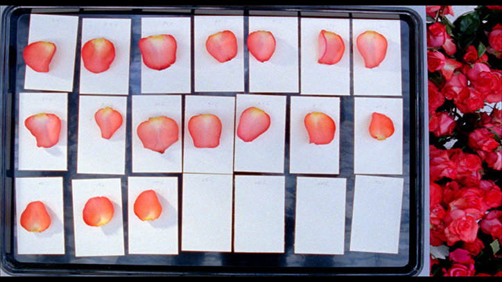 sarah-meyohas-art-itsnicethat-1.jpg