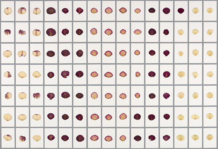 sarah-meyohas-art-itsnicethat-11.jpg