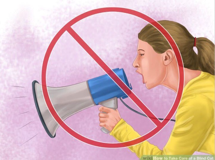 Best-of-the-web_wikihow.png