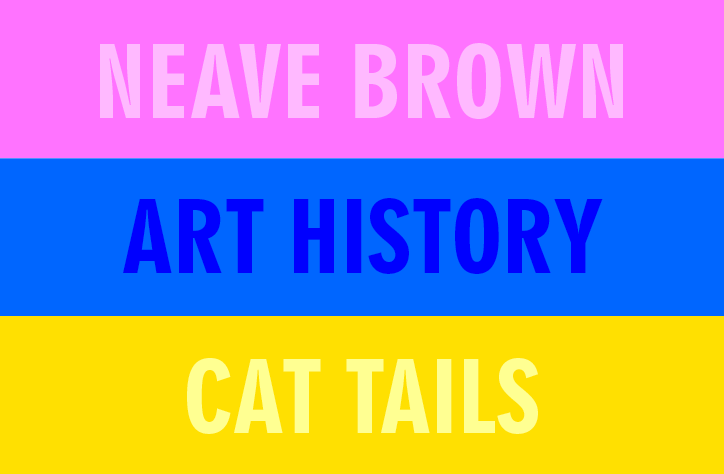 A graphic divided into three horizontal bands of pink, blue and yellow. The bands contain the text “Neave Brown”, “Art History” and “Cat Tails” in bold sans-serif capitals.