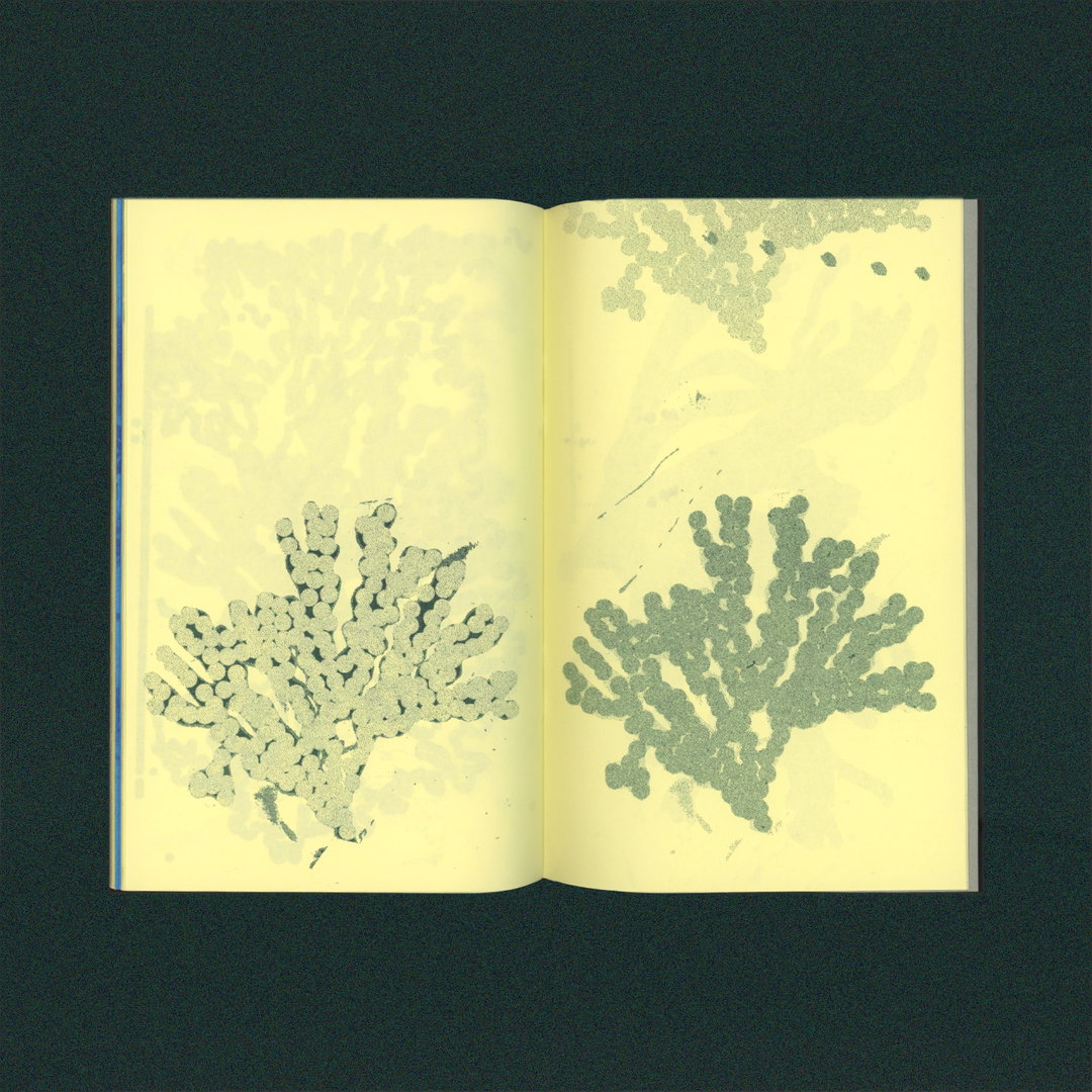 julie-legrand-nina-izycka-illustration-project-itsnicethat-05