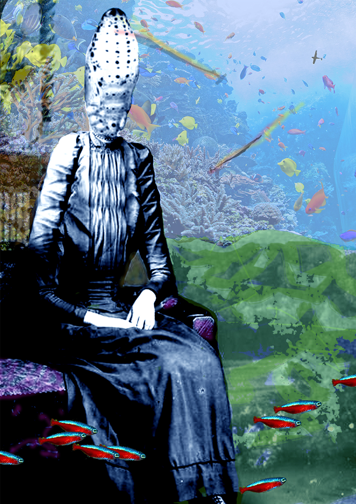 Zebra-one-gallery-itsnicethat-2.png