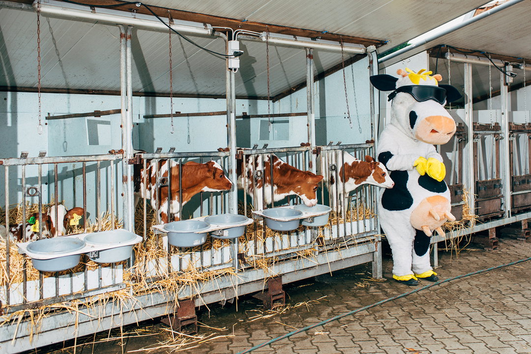 Turbo_Cow_Nikita_Teryoshin_Its_Nice_That_27.jpg