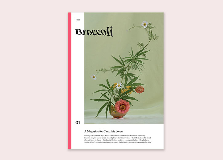 Broccoli-publication-itsnicethat8.jpg
