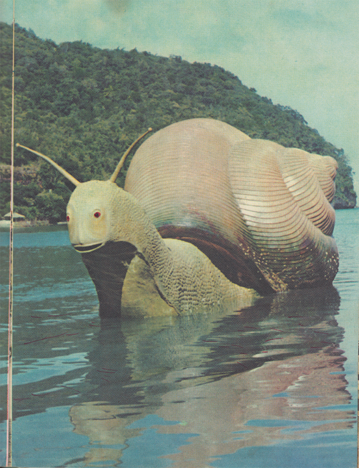KingGizzard-Polygondwanaland-GraphicDesign-itsnicethat-26.png