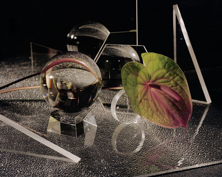 CalypsoMahieu-LeCabaretDuneant-Photography-itsnicethat-07.jpg