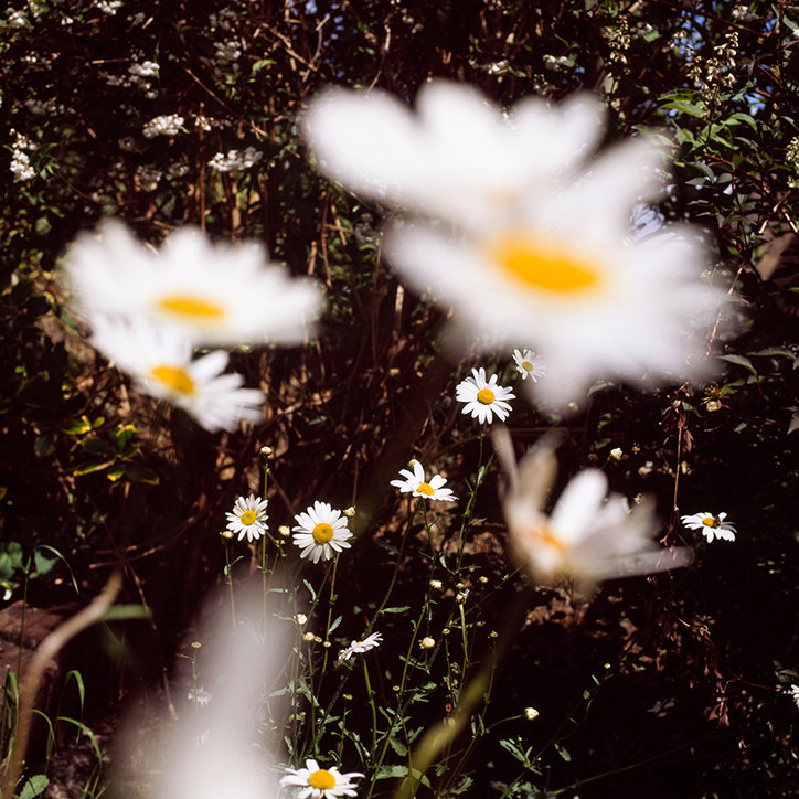 ColinPantall-AllQuiet-Photography-itsnicethat-20.jpg