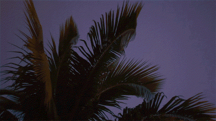 rosannawebster-Cuba-film-itsnicethat4.gif