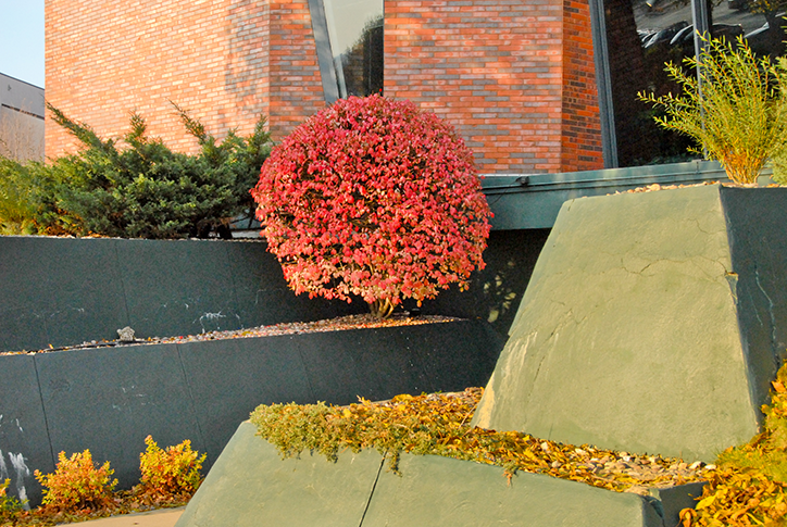 Dennis-Church-Americolor-photography-itsnicethat-1.png
