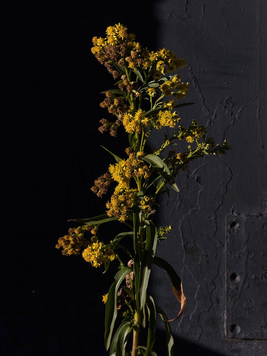 0X7A0263-davidbrandongetting-photography-itsnicethat.jpg