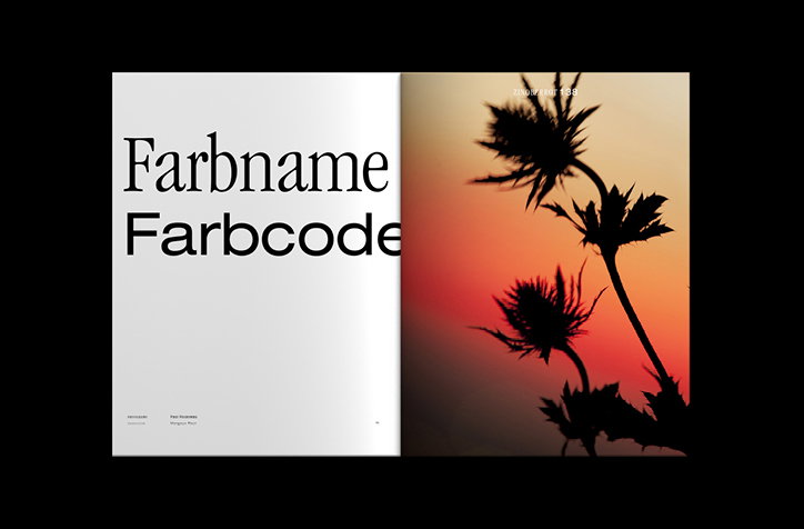 garagisme-5-paulrousteau-farbnamefarbocode--publication-itsnicethat.jpg